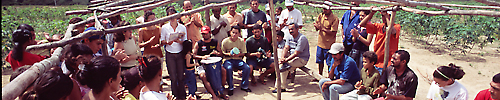 brasilieninfo.org